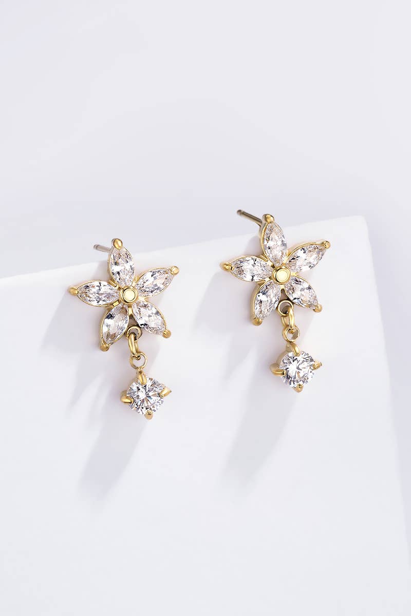 Stainless steel earrings: Silver / 100% Stainless steel