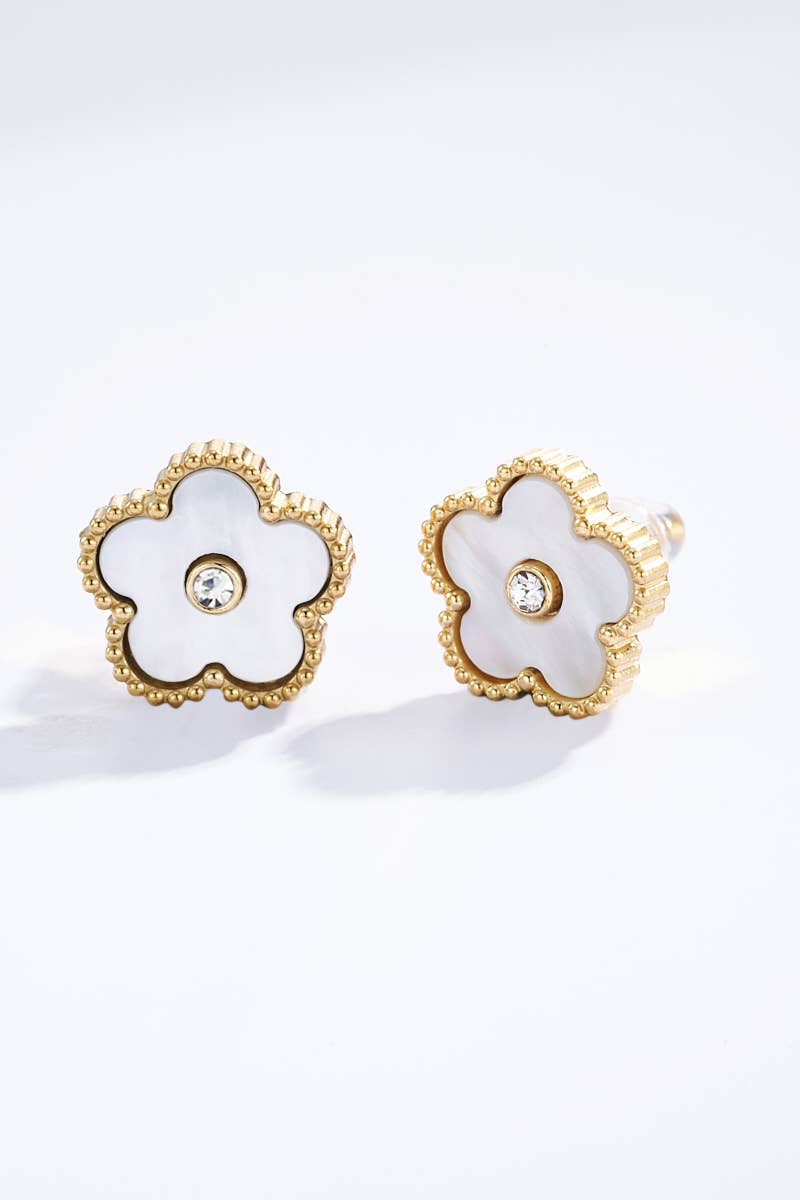 Stainless steel earrings: Silver