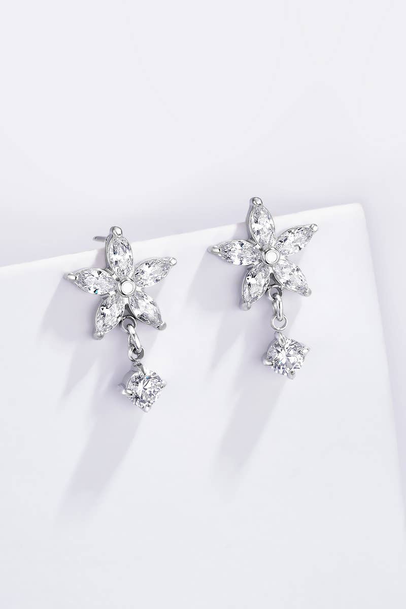 Stainless steel earrings: Silver / 100% Stainless steel