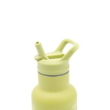 Insulated Stainless Steel Bottle 350 ml, Cracky The Dinosaur