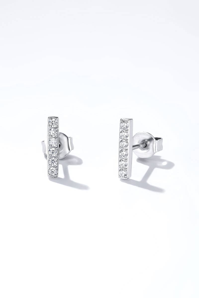 Stainless steel earrings: Silver