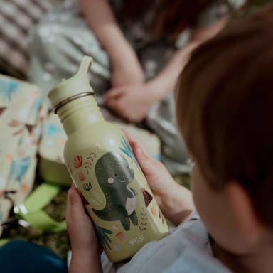 Stainless Steel Bottle - 500 ml - Cracky The Dinosaur