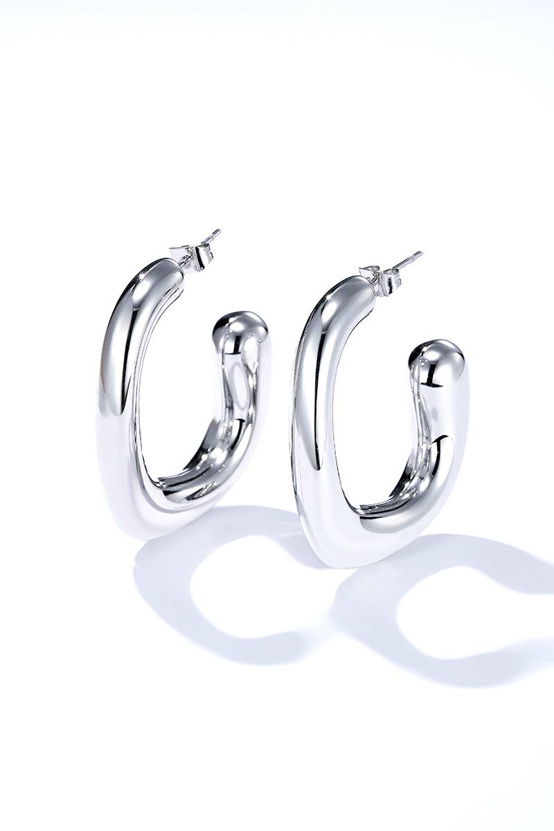 Stainless steel earrings: Silver