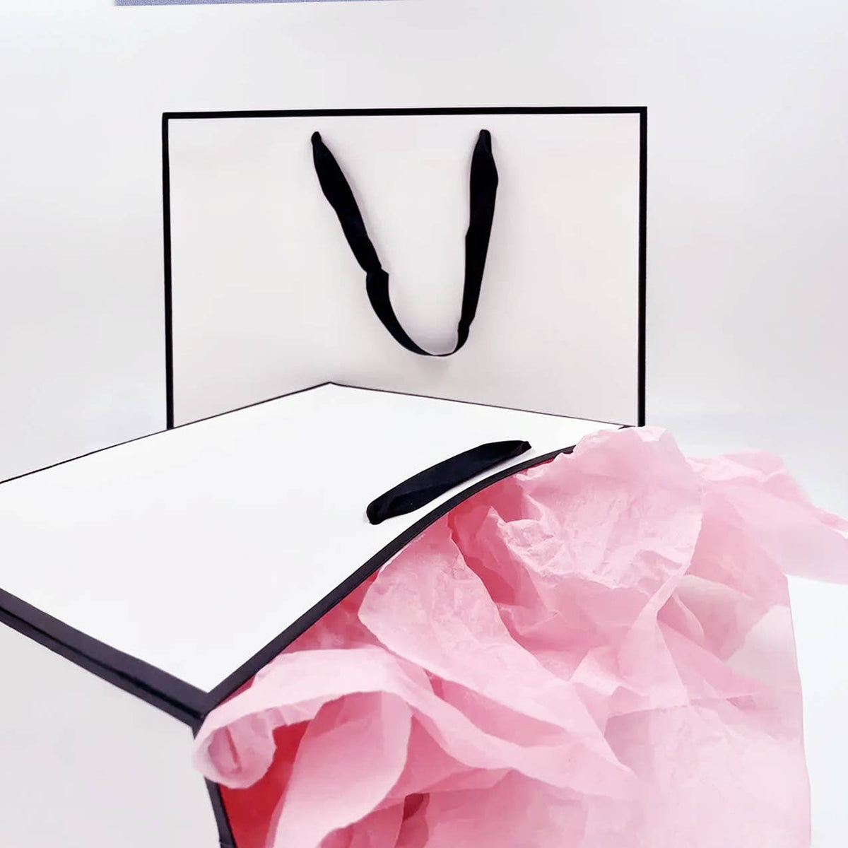 White with Black Border Paper Gift Bag w/ free tissue: V3