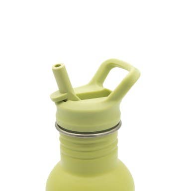 Stainless Steel Bottle - 500 ml - Cracky The Dinosaur