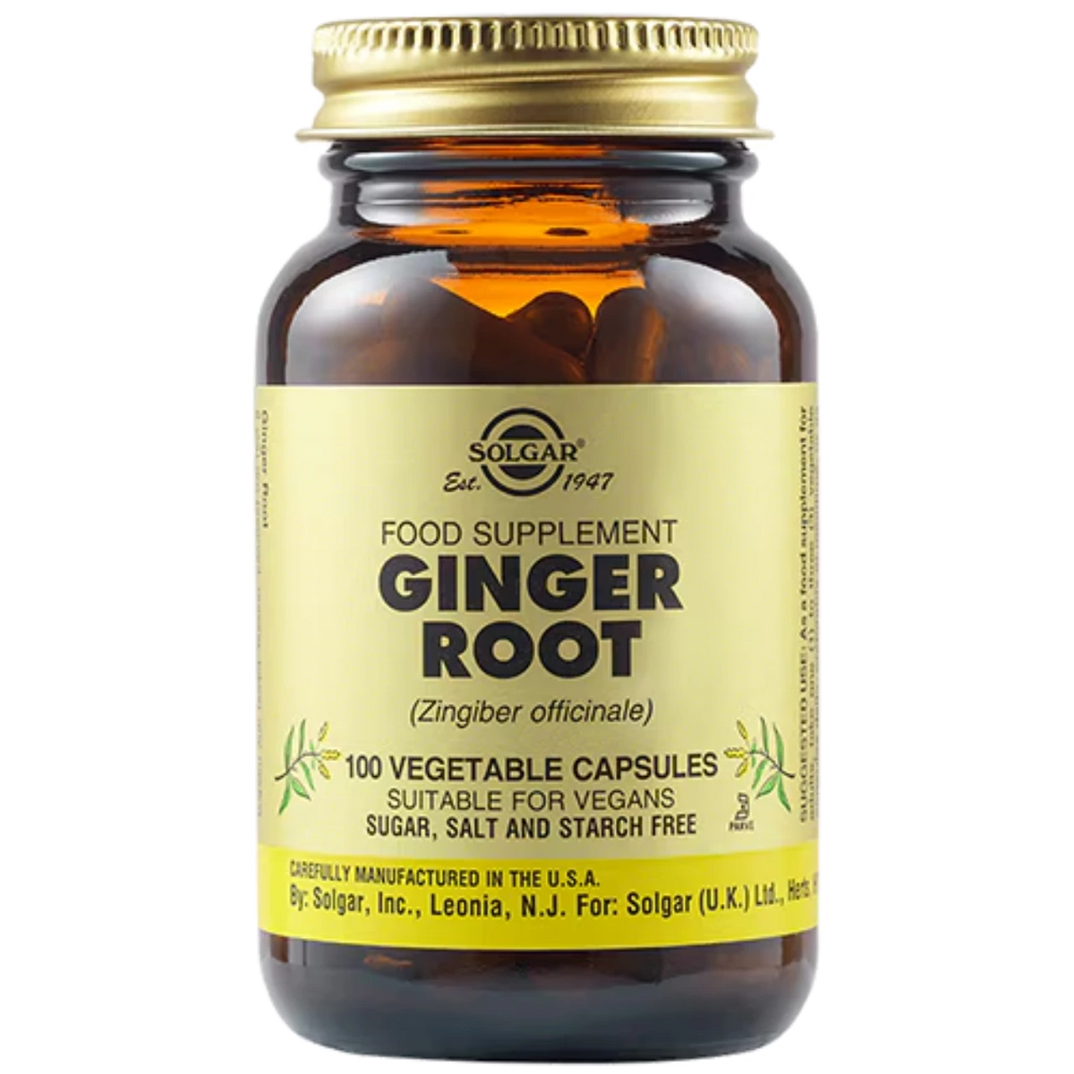 Solgar Ginger Root Extract - Supports digestive health with premium botanical ingredients.
