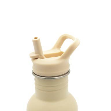 Stainless Steel Bottle - 500 ml - Gnawy The Sloth